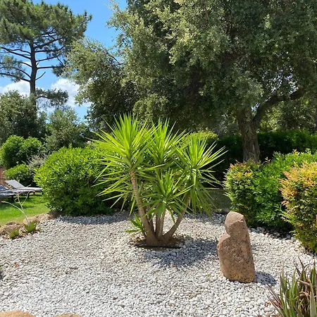 A Muredda By Intendance Excellency * Porto Vecchio